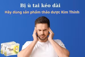 Thảo dược Kim Thính hỗ trợ bị ù tai kéo dài