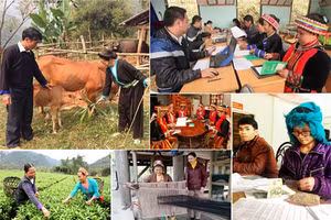 Chương trình 135 đã góp phần hỗ trợ phát triển sản xuất, xoá đói, giảm nghèo ở địa phương đặc biệt khó khăn vùng dân tộc thiểu số và miền núi