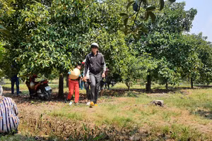 Phát hiện bộ xương người gần thi thể phụ nữ tử vong ở con mương