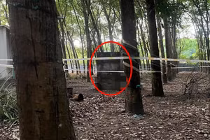 Chủ quán karaoke tử vong ở nhà vệ sinh bỏ hoang trong lô cao su