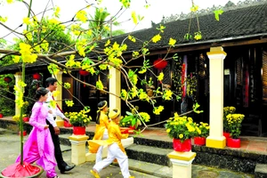 Du xuân ngày Tết