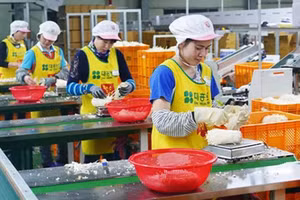 Cơ hội mới cho di cư lao động an toàn