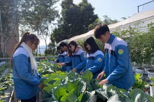 HS Trường THPT Chuyên Lào Cai đẩy mạnh hoạt động học tập trải nghiệm.