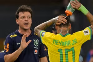 Tuyển Brazil sa thải huấn luyện viên Diniz 