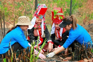 Yên Than giảm nghèo bền vững từ chuẩn nông thôn mới kiểu mẫu.