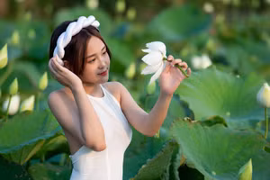 Đầm Bạch Liên đẹp tinh khôi.