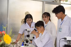 TS Nguyễn Thị Oanh trong giờ hướng dẫn SV nghiên cứu khoa học.