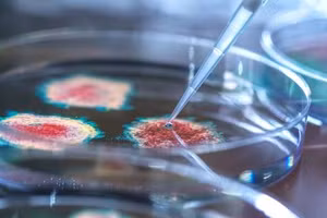 Nga lo Mỹ đang thực hiện các âm mưu gây mối họa sinh học ở Ukraine. Ảnh minh họa: RT