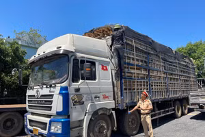 CSGT Công an tỉnh Quảng Bình đã lập biên bản xử lý hơn 3.300 trường hợp vi phạm, tước giấy phép lái xe, chứng chỉ chuyên môn hơn 1.000 trường hợp.