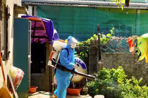 Tính đến ngày 19/10, số ca mắc sốt xuất huyết ở Quảng Bình đã vượt mốc 5.000 ca và diễn biến phức tạp.