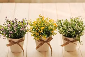 Vật đại kỵ phong thủy trong phòng khách 