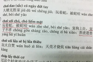 Những câu thành ngữ được cho là làm người dùng dễ hiểu nhầm về bản chất.