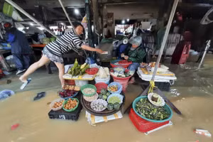 Ảnh minh họa: IT.