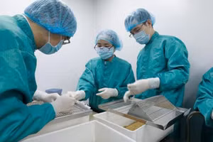 Các nhà nghiên cứu của VABIOTECH tiến hành đánh giá kháng thể đáp ứng miễn dịch sau tiêm thử vắc-xin trên chuột.