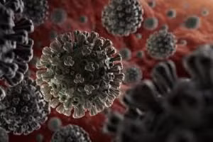 Cầu gai của chủng B117 có thể ảnh hưởng tới hiệu quả vắc-xin. Ảnh minh họa.