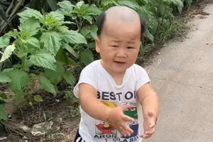 Bố ra tay cắt tóc cho con, nhìn "sản phẩm" mẹ cười như mếu 