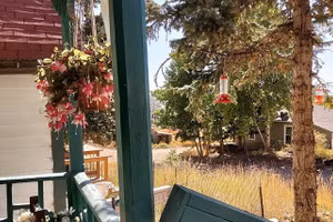 Chứng kiến mẹ chồng làm một việc, nàng dâu sốc đến mức muốn ly hôn