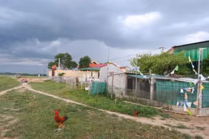 Nơi tái định cư của các hộ dân vạn chài Xuân Lam (Hưng Nguyên, Nghệ An).