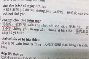 Những câu thành ngữ được cho là làm người dùng dễ hiểu nhầm về bản chất.