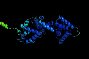 Hình dạng 3D của protein.