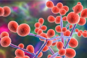 Siêu vi khuẩn lây lan trong bệnh viện điều trị Covid-19