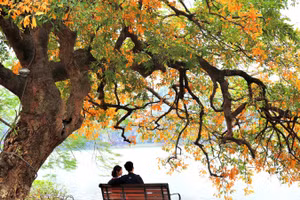 Ảnh: Thiên Thanh.