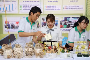 Sản phẩm trà túi lọc hoa nấm thiên nhiên của nhóm SV Trường ĐH Sư phạm (ĐH Đà Nẵng) tiếp cận người tiêu dùng. 