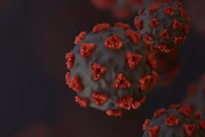 Phát hiện virus có họ hàng với SARS-CoV-2 trong dơi ở Campuchia