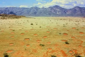 Những vòng tròn cổ tích trên sa mạc Namib.