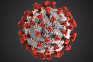 Biến thể mới có khả năng lây lan nhanh. Ảnh minh họa.