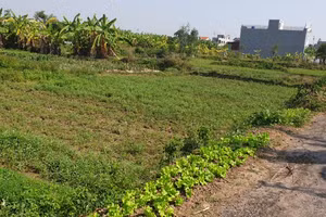 Đất thôn tại xã Hiệp Hòa, huyện Vĩnh Bảo có lô lên tới trên 1 tỷ đồng.