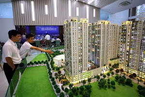 Khách hàng đang xem một dự án bất động sản chuẩn bị triển khai.