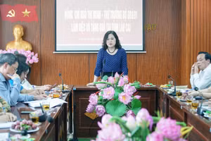 Thứ trưởng Ngô Thị Minh phát biểu tại buổi làm việc.