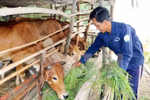 Năm 1993, tỷ lệ hộ nghèo cả nước là 58,1%, đến cuối năm 2021 còn 2,23%.