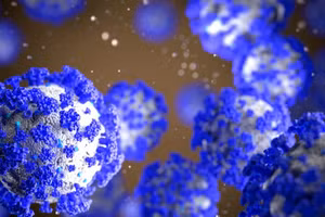 Có sự dịch chuyển từ biến chủng phụ BA.5 của Omicrion ở thời điểm tháng 7 đến tháng 9 sang biến chủng phụ BA.2.75. 