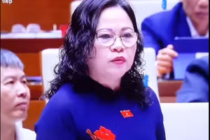 Thứ trưởng Bộ GD&ĐT, Đại biểu Quốc hội Ngô Thị Minh.