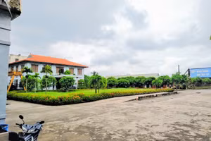 Tài sản được bán đấu giá trong vụ việc. Ảnh: TK