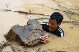 Trẻ em ở Nghệ An liều mình vớt củi vào mùa mưa lũ. Ảnh minh họa.