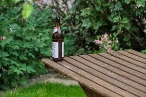 Đừng vội vứt chai bia đã hết hạn, hãy dùng để tưới cây cảnh (hình minh họa)