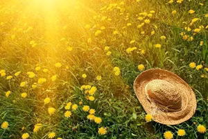 "Bảo vật" giúp 12 con giáp may mắn, phát tài trong tiết Hạ Chí năm 2022