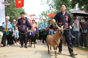 Ấn tượng với du khách là không gian xuống chợ.