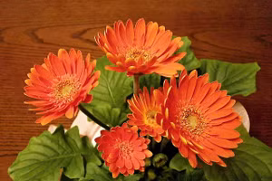 Bàn thờ Thần Tài cắm hoa gì để thu hút nhiều tài lộc?