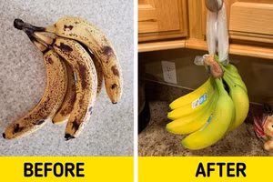 9 cách giữ thực phẩm nguyên chất, tươi lâu