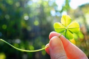 3 con giáp may mắn tài lộc vững mạnh trong ngày 1/5