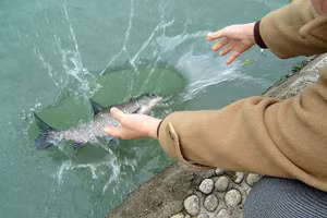  4 việc nên làm trong ngày Rằm tháng Giêng để cả năm may mắn