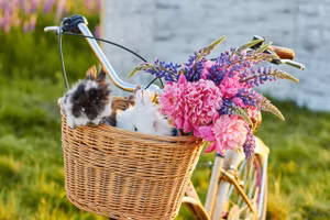 Top 4 con giáp may mắn nhất tuần mới