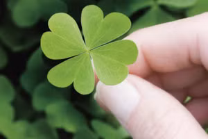 6 con giáp được quý nhân nâng đỡ, vận may dồn dập trong tuần mới