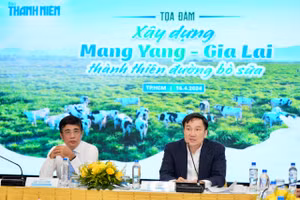 Bàn phương án xây dựng Mang Yang thành ‘thiên đường’ bò sữa ở Gia Lai