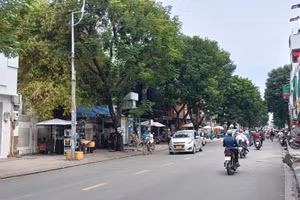 TPHCM ước tính cần chi 4.480 tỷ đồng đầu tư mảng xanh và công viên công cộng