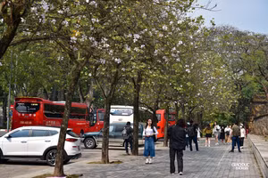 Hương sắc Tây Bắc giữa lòng Thủ đô